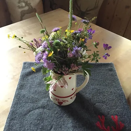 Apartment Bergheimat *