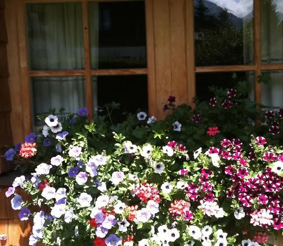 Appartement Bergheimat